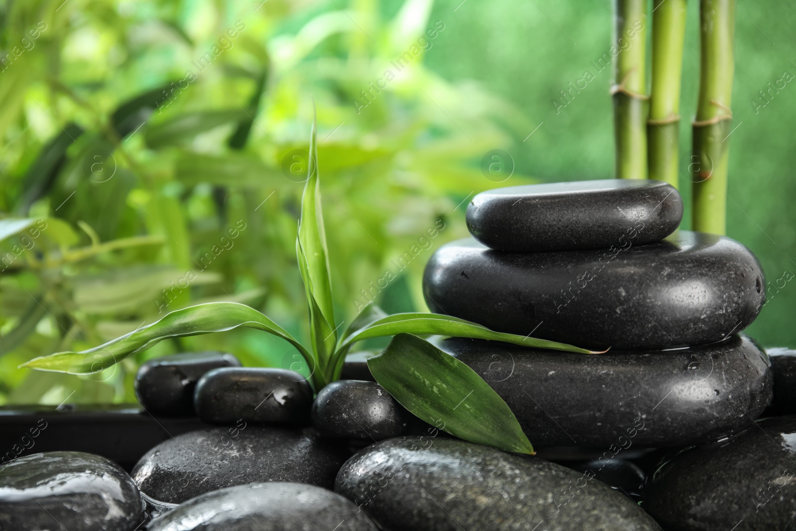 Photo of Zen stones and bamboo leaves in water on blurred background. Space for text