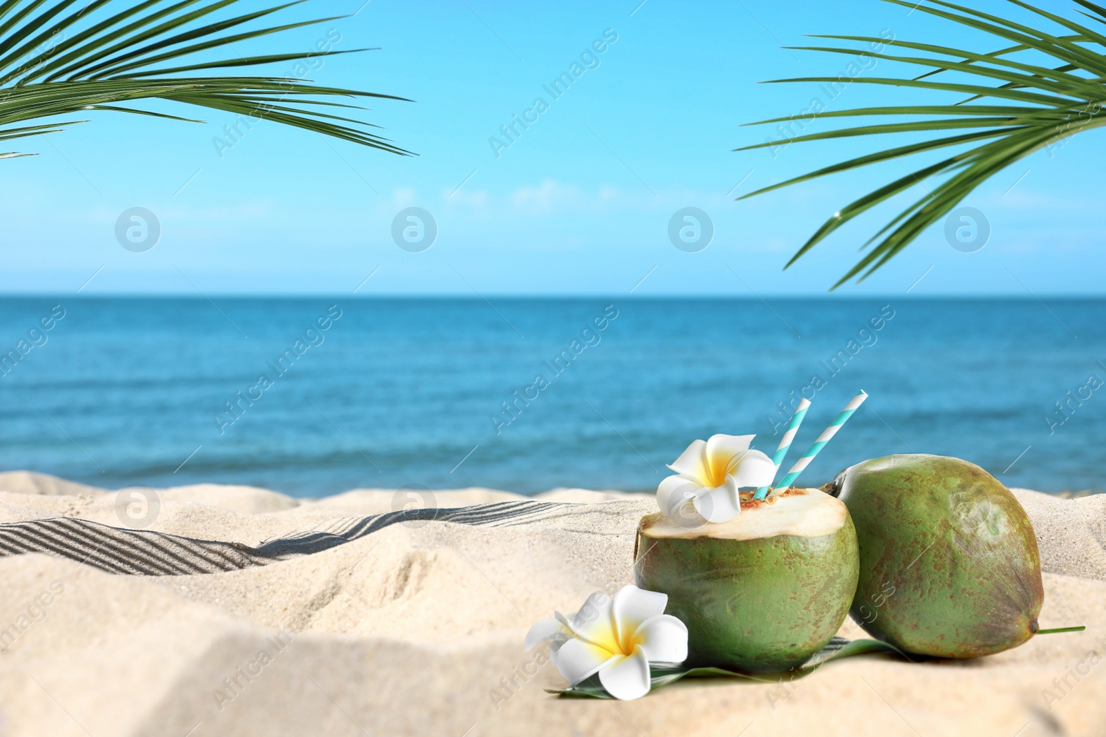 Image of Green coconuts with refreshing drink and flowers on sandy beach near sea, space for text