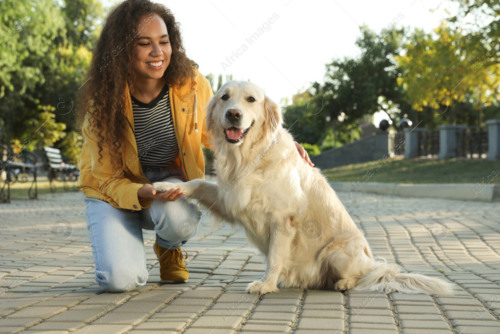 Photo of Young African-American woman and her Golden Retriever dog in park