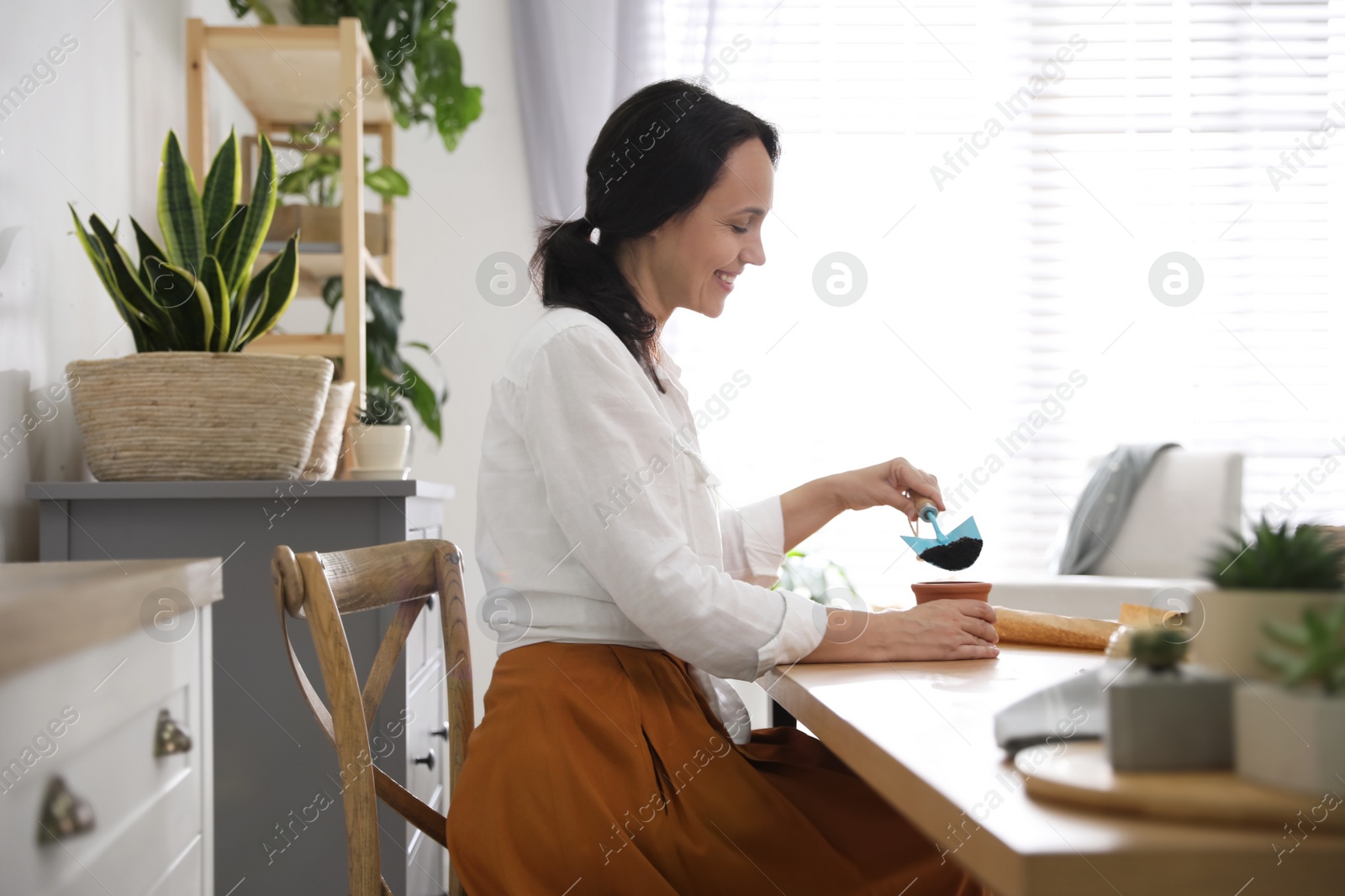 Photo of Mature woman potting plant at home. Engaging hobby