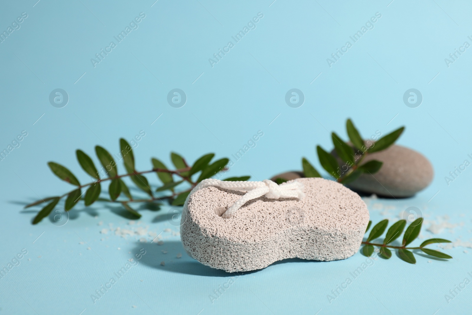 Photo of Pumice stone and green leaves on light blue background