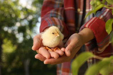 Woman with cute chick outdoors, closeup. Baby animal