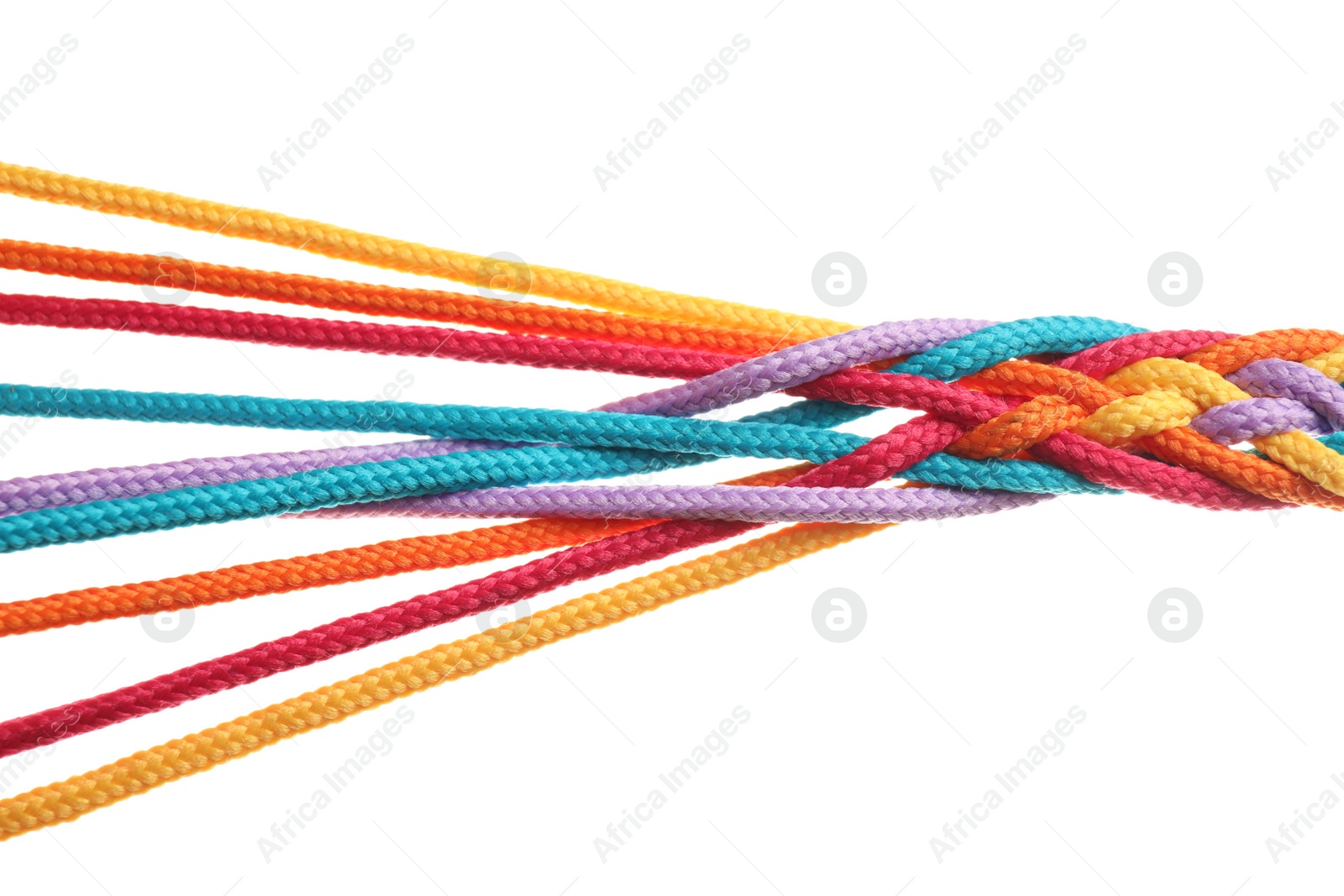 Photo of Braided colorful ropes on white background. Unity concept