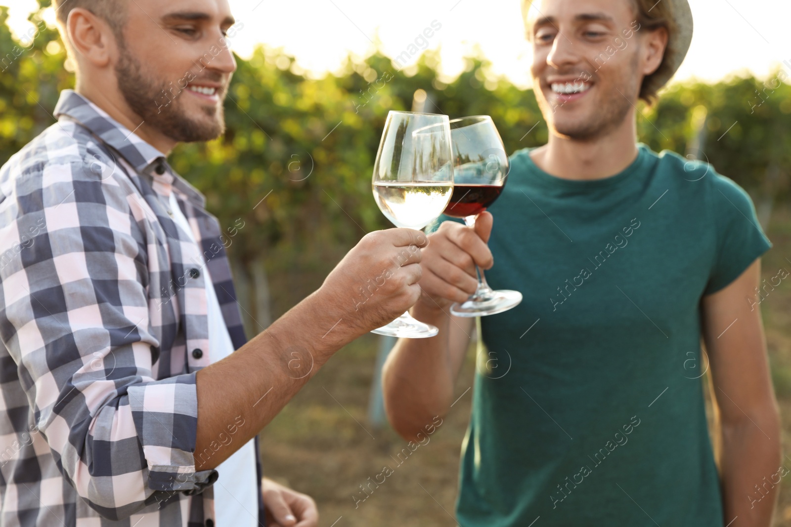 Photo of Friends holding glasses of wine and having fun on vineyard picnic