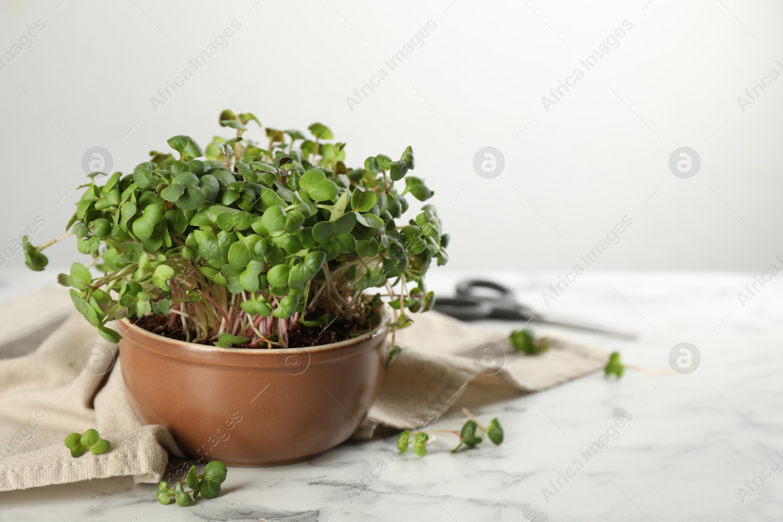 Photo of Fresh radish microgreens in bowl on white marble table, space for text