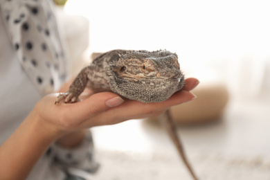 Photo of Woman holding bearded lizard indoors, closeup. Exotic pet