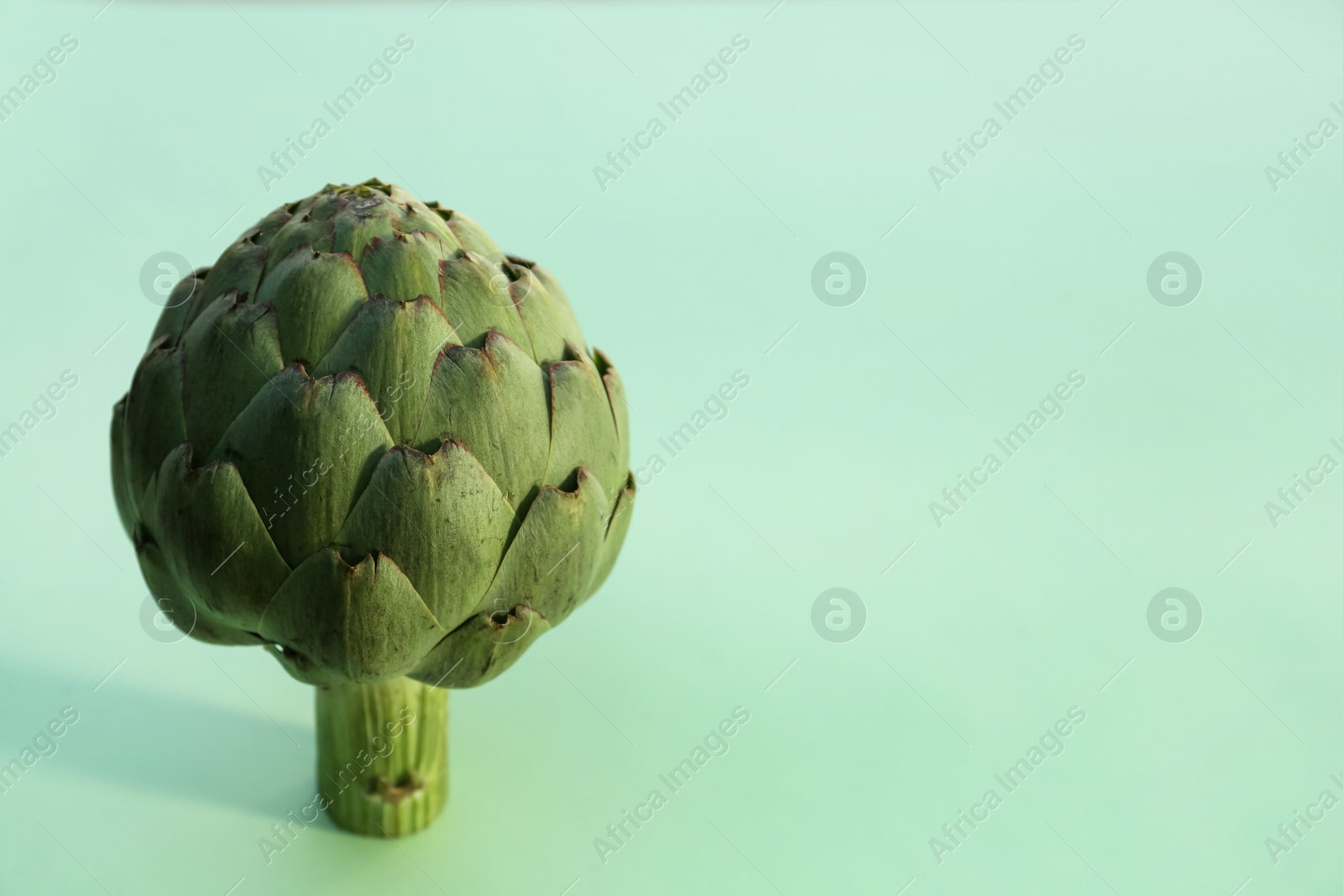 Photo of Whole fresh raw artichoke on green background, closeup. Space for text