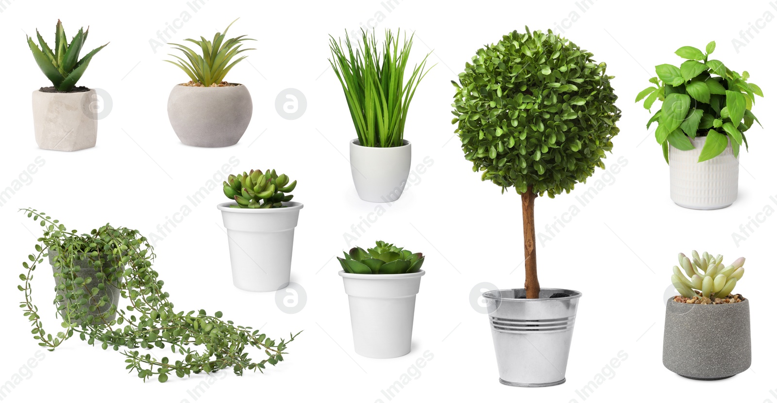 Image of Set of artificial plants in flower pots isolated on white