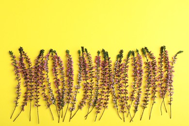 Photo of Heather branches with beautiful flowers on yellow background, flat lay. Space for text