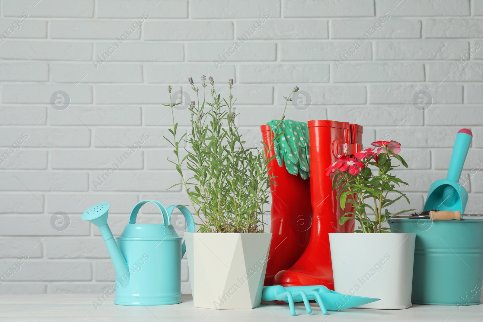 Photo of Beautiful flowers and gardening tools on wooden table near white brick wall