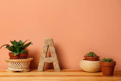 Pots with houseplants on wooden table near brown wall. Interior design