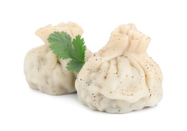 Photo of Two tasty khinkali (dumplings) and spices isolated on white. Georgian cuisine