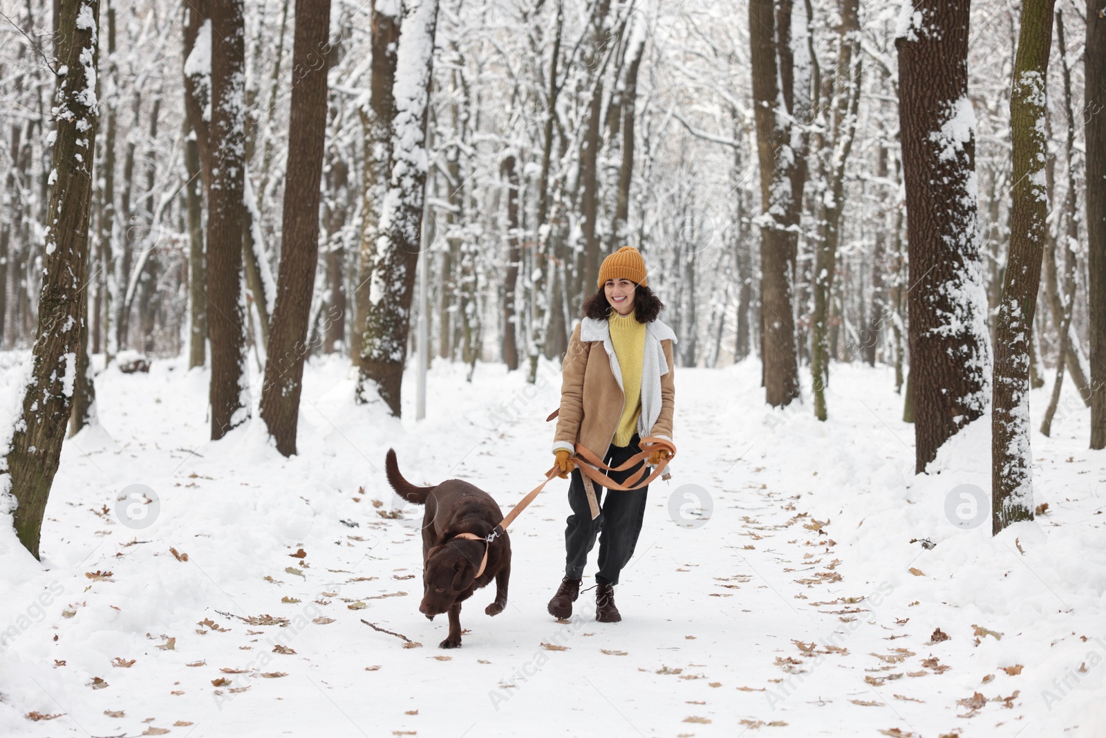 Photo of Woman walking with adorable Labrador Retriever dog in snowy park