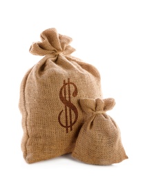 Image of Burlap bags and one with dollar sign on white background