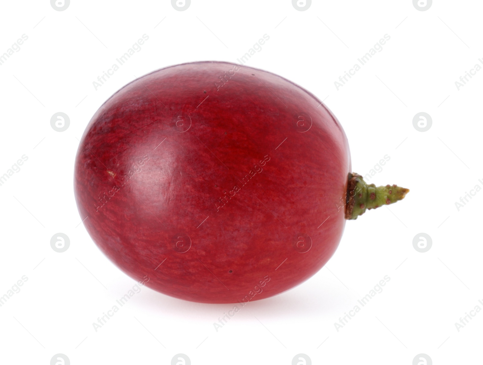 Photo of One ripe red grape isolated on white