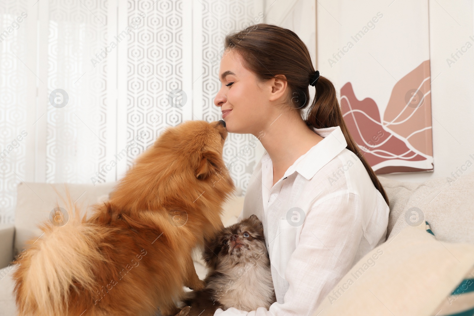 Photo of Young woman with cute dogs on sofa in living room