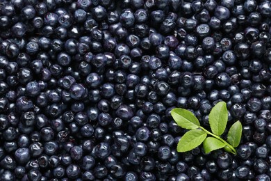 Photo of Many tasty fresh bilberries with green leaves as background, top view