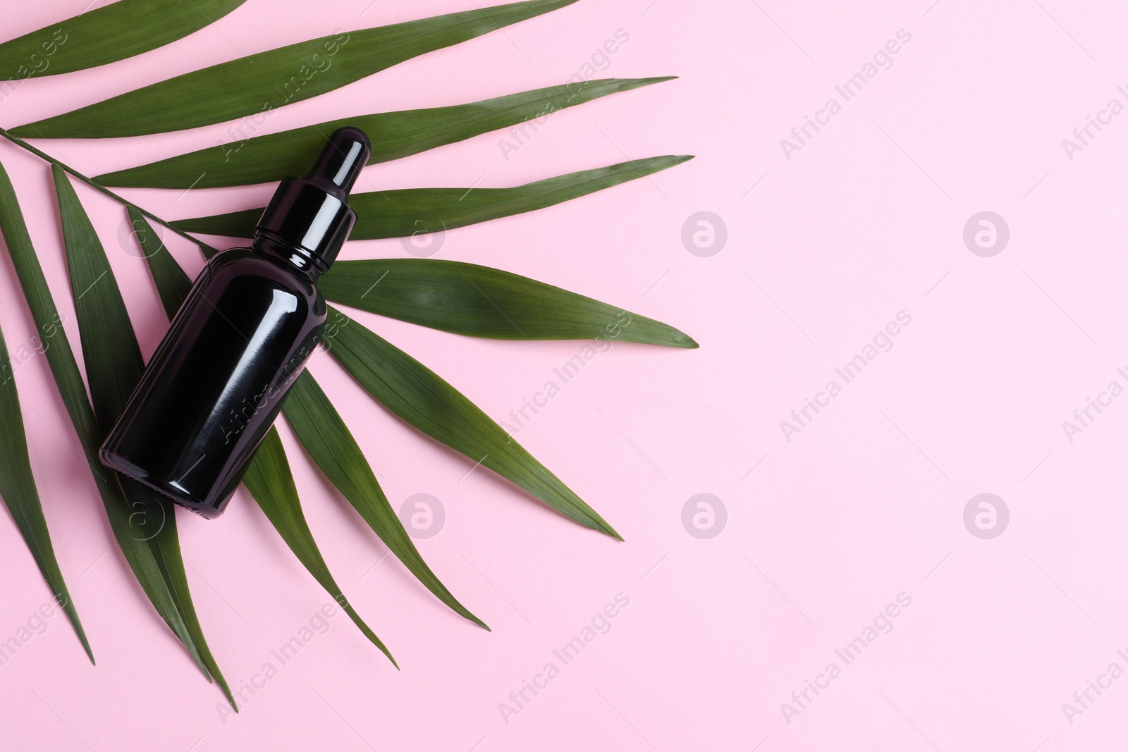 Photo of Bottle with cosmetic oil and green leaf on pink background, top view. Space for text