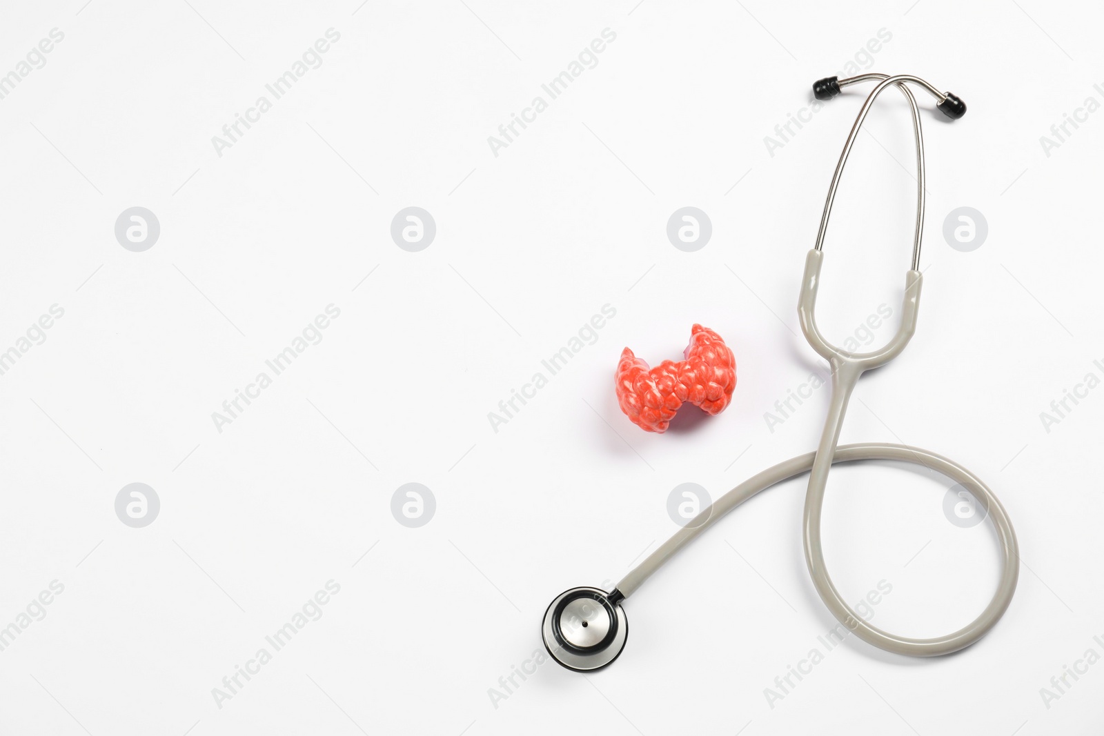 Photo of Endocrinology. Stethoscope and model of thyroid gland on white background, top view. Space for text