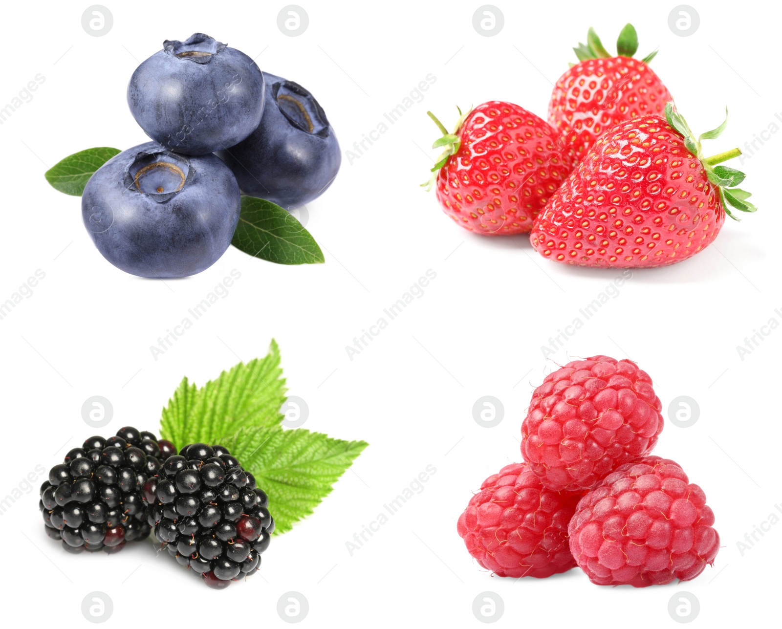 Image of Fresh blueberries and other berries isolated on white, set