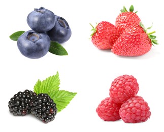 Image of Fresh blueberries and other berries isolated on white, set