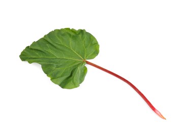 Photo of Fresh rhubarb stalk with leaf isolated on white, top view
