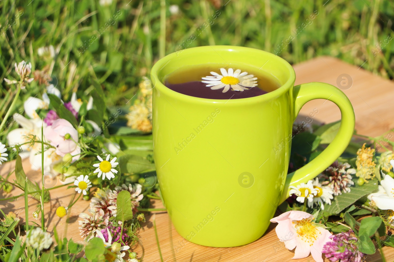 Photo of Green cup with tea, different wildflowers and herbs on wooden board in meadow, closeup