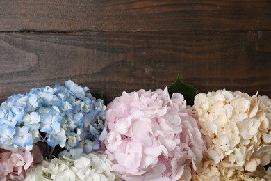 Photo of Beautiful hydrangea flowers on wooden background, top view. Space for text