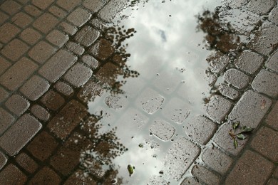 Puddle of rain water on paved pathway outdoors, above view