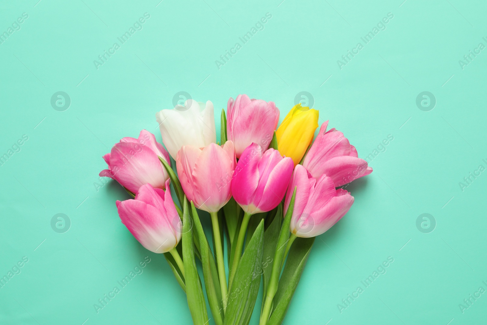 Photo of Spring tulips on color background, top view. International Women's Day