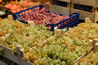 Photo of Many different fresh ripe grapes in wooden crates at wholesale market
