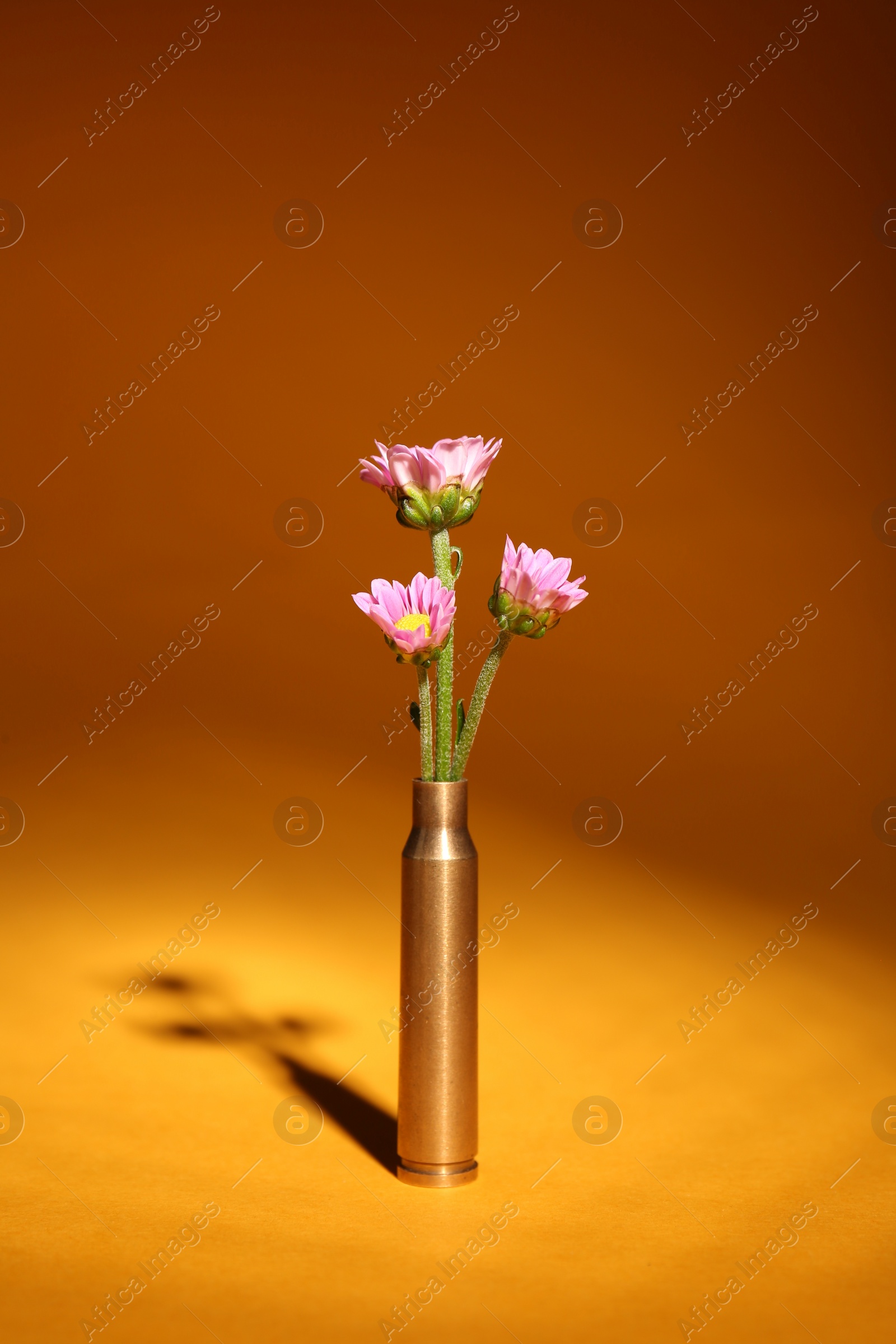 Photo of Bullet cartridge case and beautiful chrysanthemum flowers on orange background