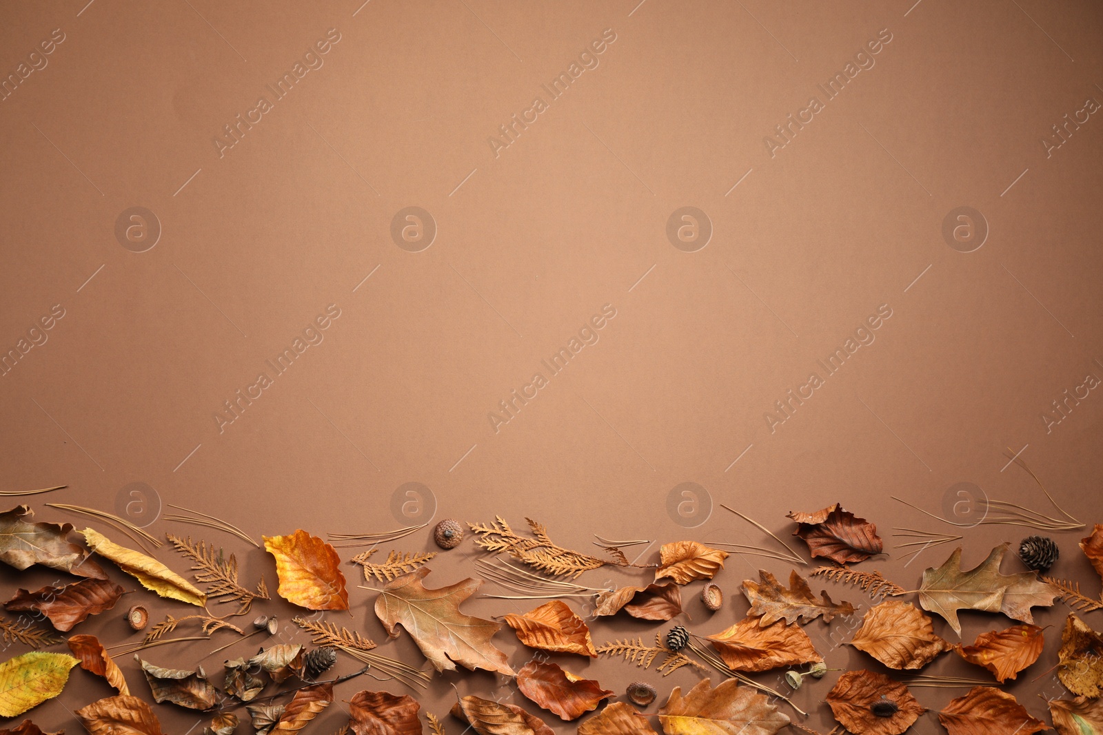 Photo of Flat lay composition with dry autumn leaves on brown background, space for text