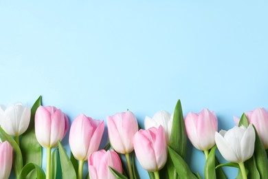 Photo of Beautiful pink spring tulips on light blue background, flat lay. Space for text