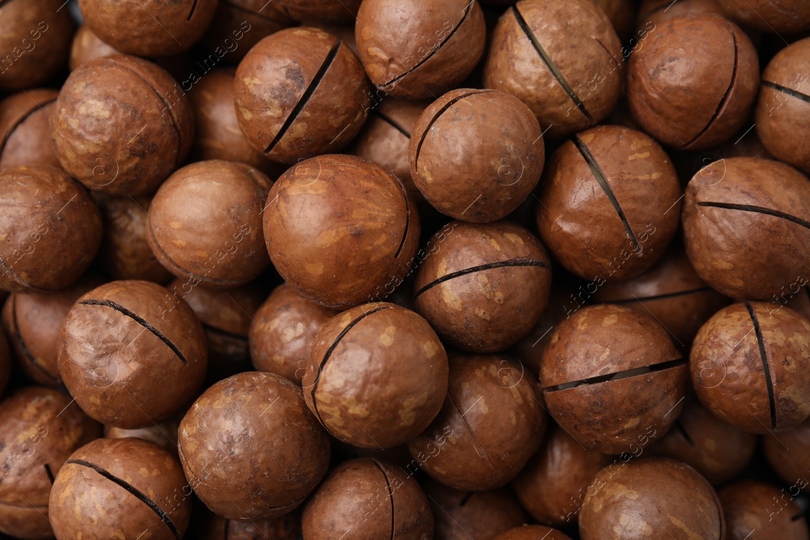 Photo of Tasty Macadamia nuts as background, top view