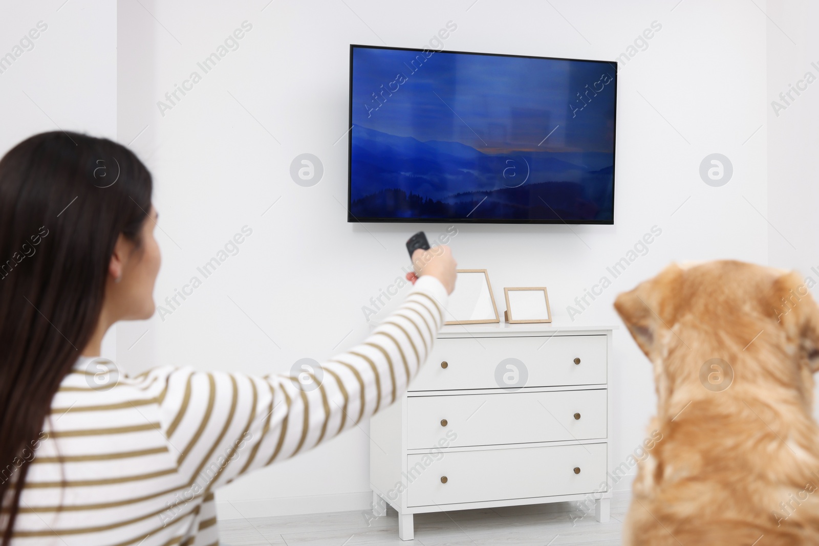 Photo of Happy woman turning on TV near cute Labrador Retriever at home, back view