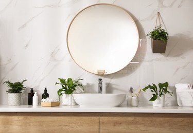 Photo of Beautiful green ferns and toiletries in bathroom