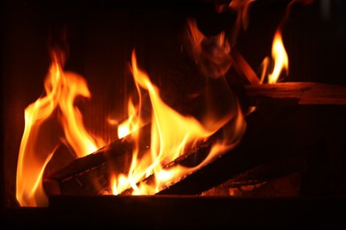 Bonfire with burning firewood on dark background