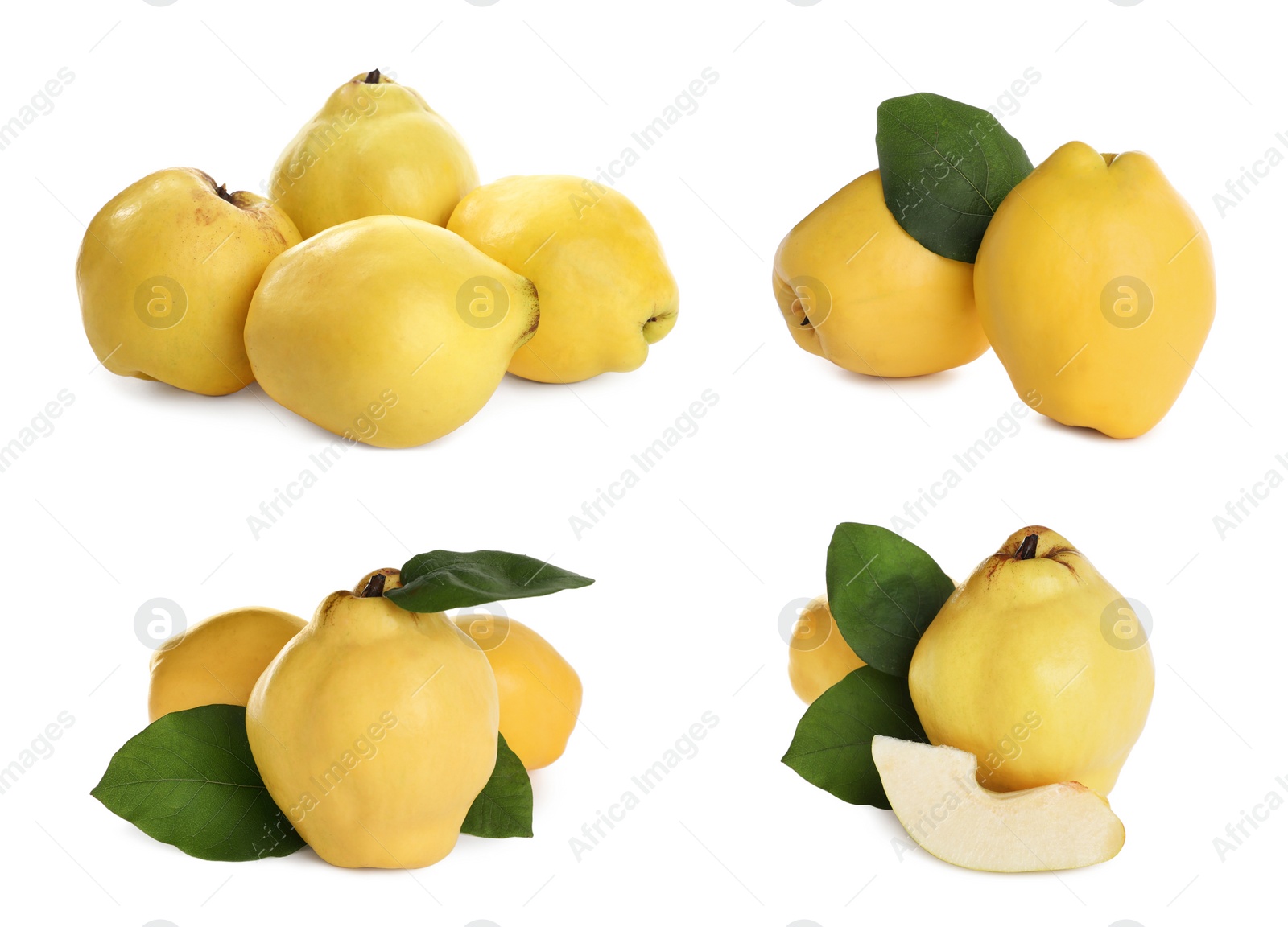 Image of Set of delicious ripe quinces on white background