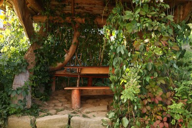 Photo of Table and benches under wooden canopy covered with vine