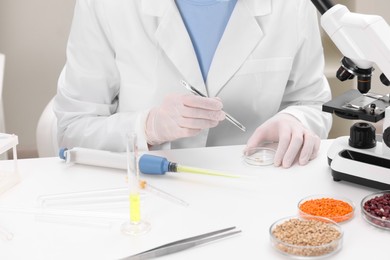Photo of Quality control. Food inspector examining working in laboratory, closeup