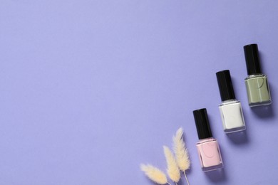 Nail polishes and decorative branches on lilac background, flat lay. Space for text