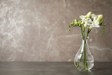 Photo of Beautiful freesia flowers in vase on grey table. Space for text