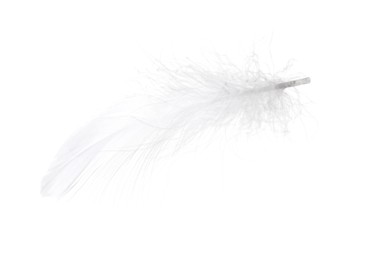 Photo of Beautiful fluffy bird feather isolated on white