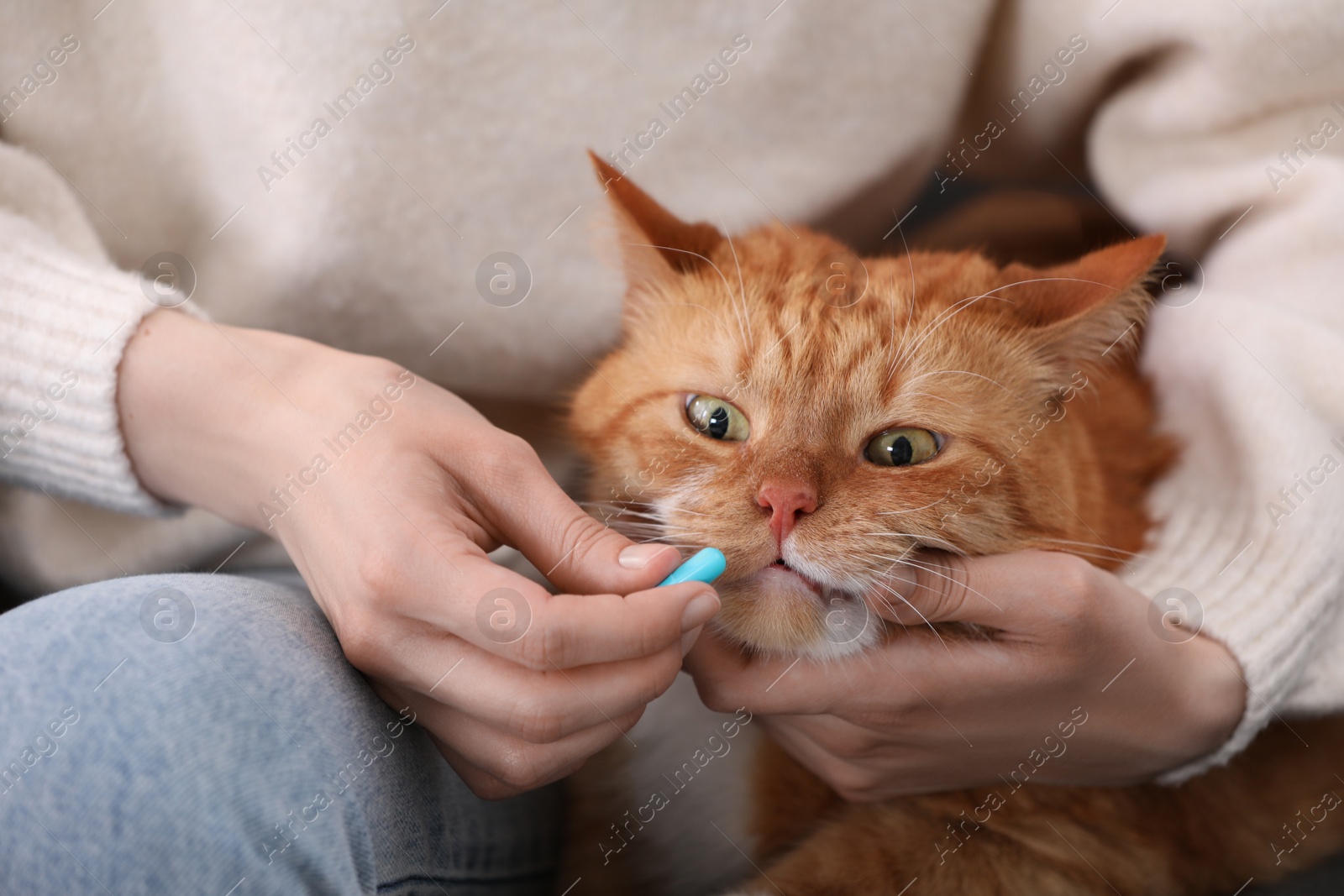 Photo of Woman giving vitamin pill to cute cat, closeup