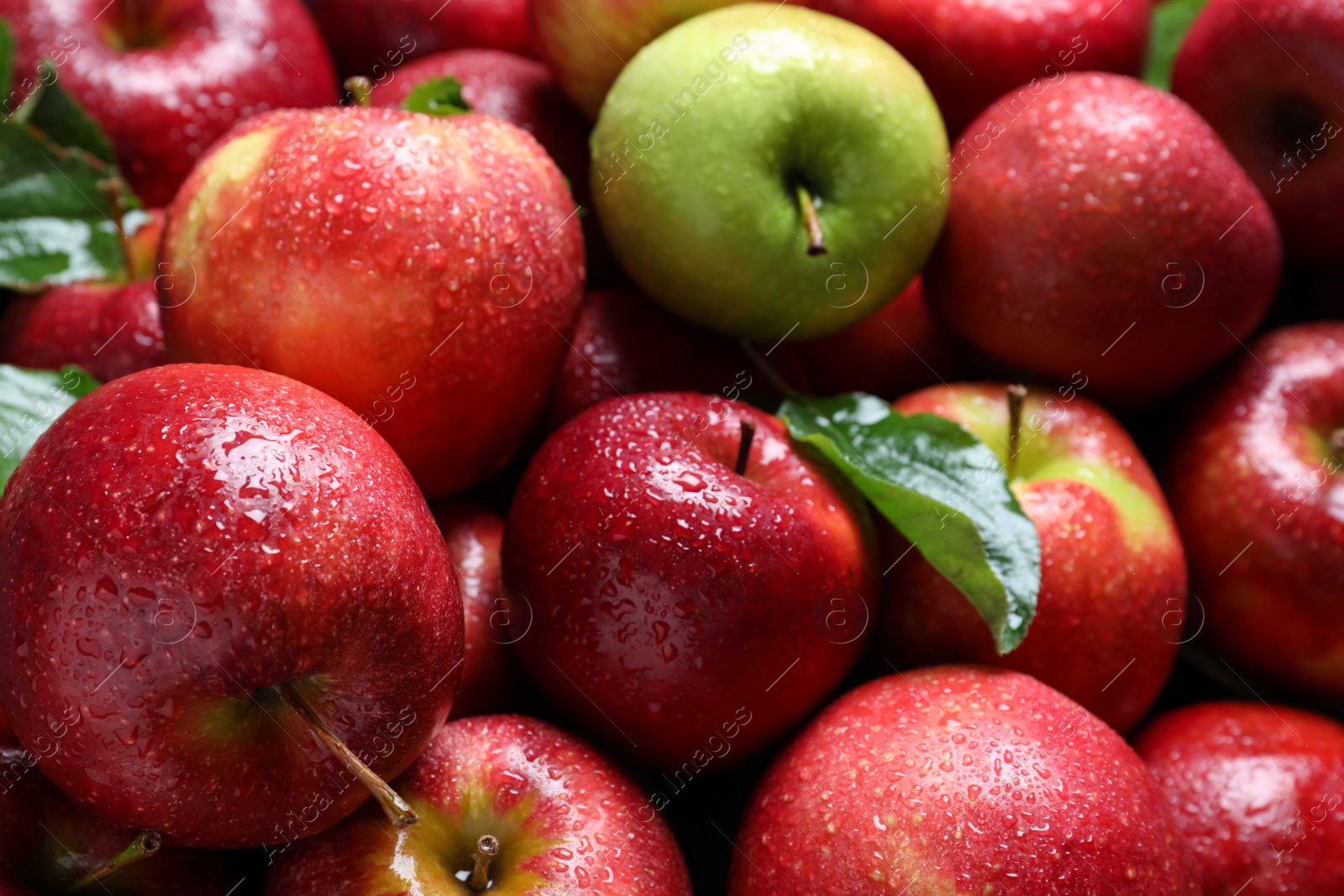 Photo of Tasty red apples and green one as background, closeup