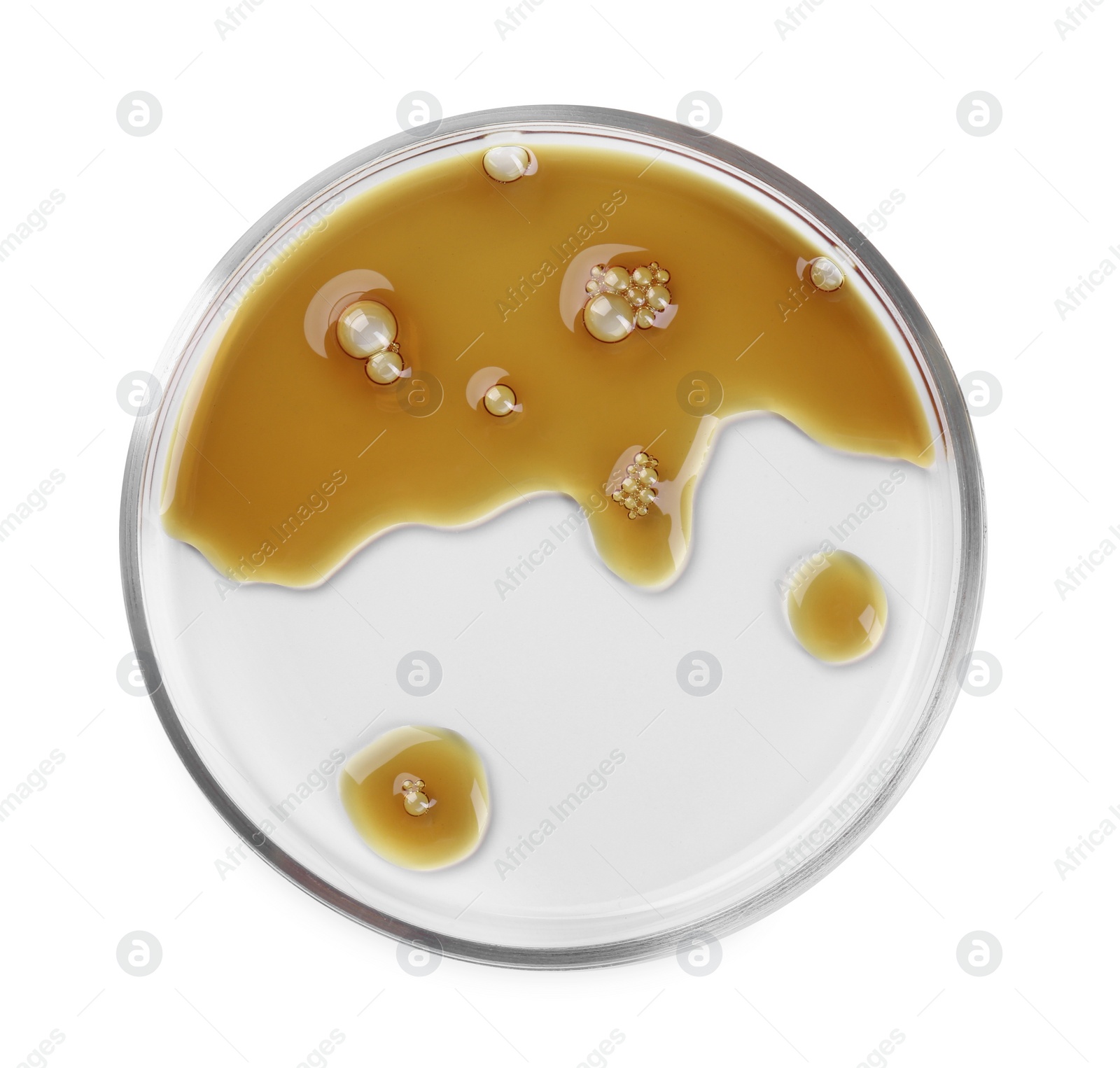 Photo of Petri dish with color liquid sample isolated on white, top view