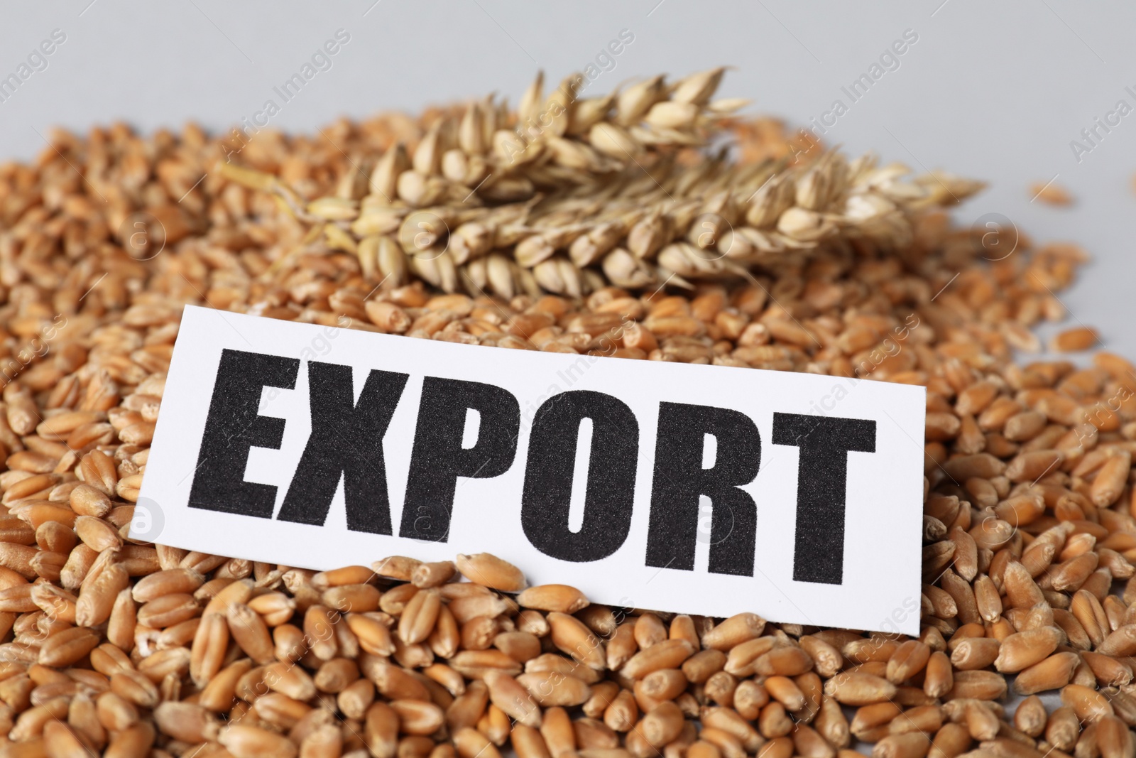 Photo of Paper card with word Export, pile of wheat grains and spikes on white table, closeup