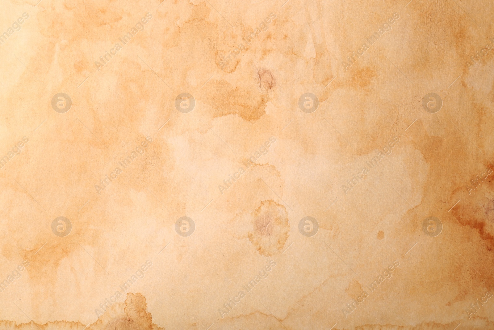 Photo of Sheet of old parchment paper as background, top view