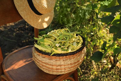 Wicker basket with fresh green beans and hat on wooden chair in garden